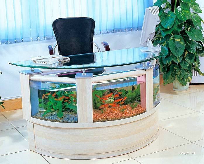 fish tank coffee table. Coffee Table Aquarium.