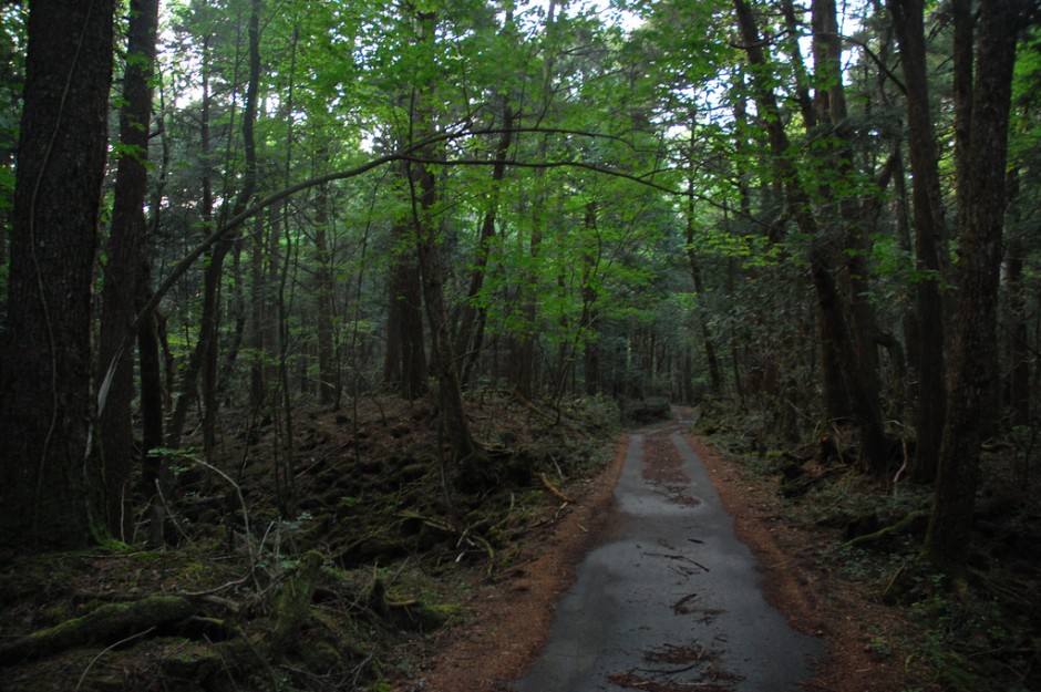 aokigahara-forest-matador-seo-940x625